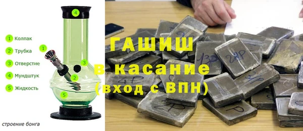 ГАЛЛЮЦИНОГЕННЫЕ ГРИБЫ Михайлов