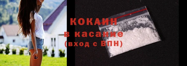 ГАЛЛЮЦИНОГЕННЫЕ ГРИБЫ Михайлов