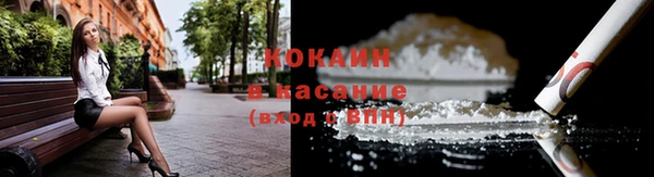 ГАЛЛЮЦИНОГЕННЫЕ ГРИБЫ Михайлов