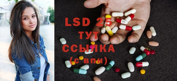 ГАЛЛЮЦИНОГЕННЫЕ ГРИБЫ Михайлов