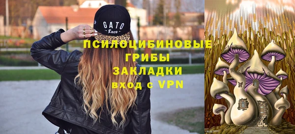 ГАЛЛЮЦИНОГЕННЫЕ ГРИБЫ Михайлов