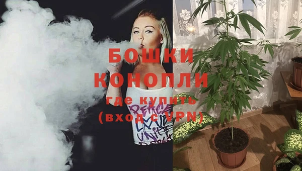 ГАЛЛЮЦИНОГЕННЫЕ ГРИБЫ Михайлов