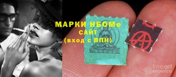 ГАЛЛЮЦИНОГЕННЫЕ ГРИБЫ Михайлов