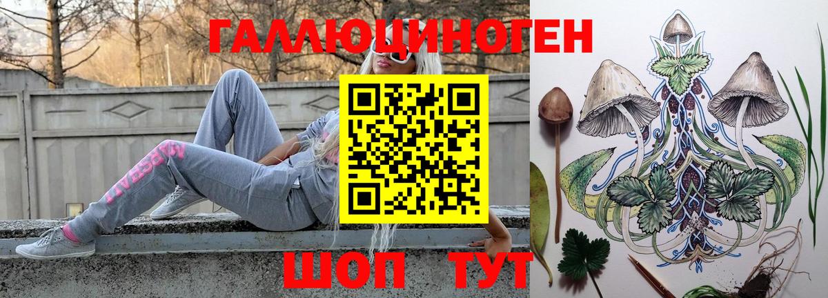 Псилоцибиновые грибы Psilocybine cubensis Усть-Лабинск
