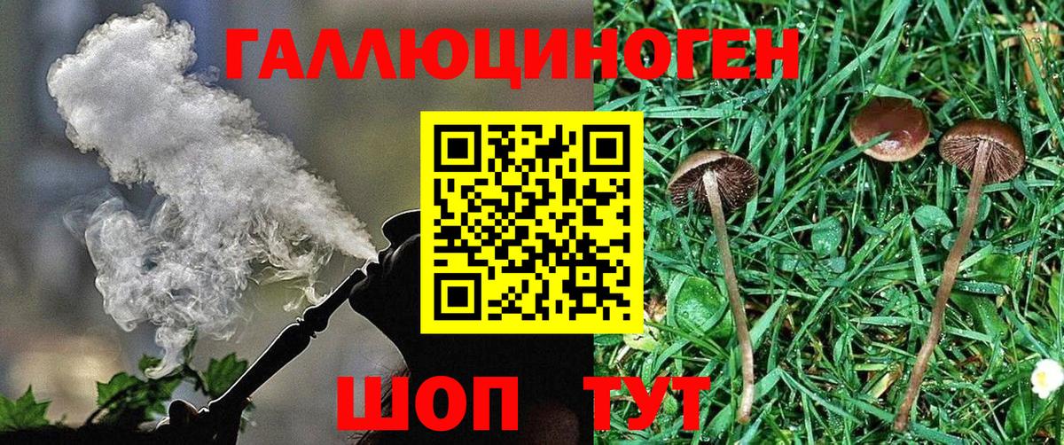 Галлюциногенные грибы Magic Shrooms  Псилоцибиновые грибы прущие грибы  Вход с VPN  Усть-Лабинск 